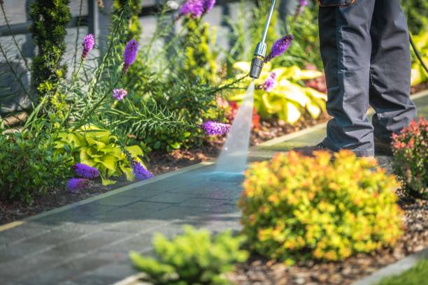 Best Dumpster Area Cleaning  in Cudahy, CA